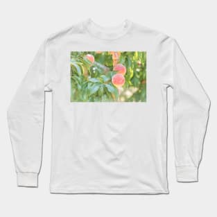 Ripe Summer Peaches in an Okanagan Orchard Long Sleeve T-Shirt